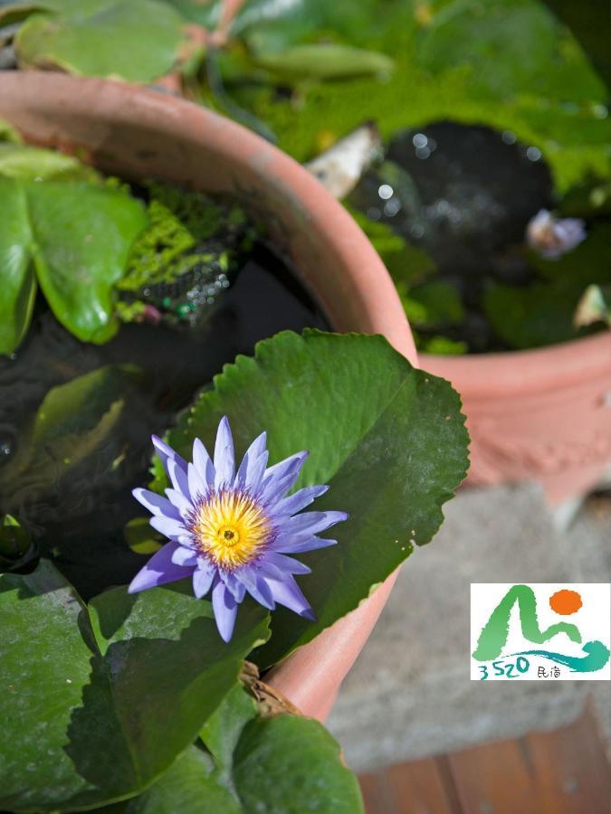 3520 Homestay T'ai-tung Buitenkant foto